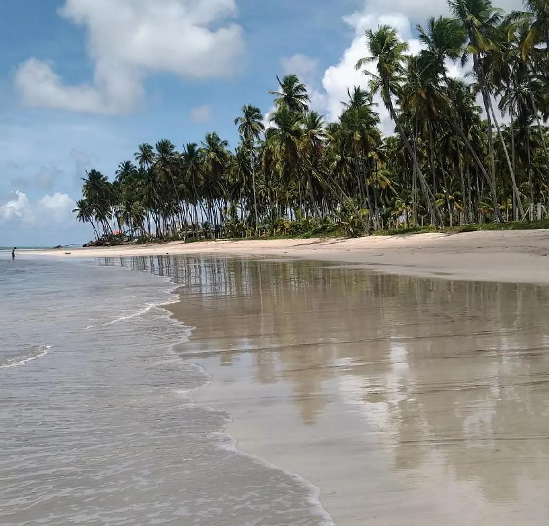 Flat Melhor Vista De Carneiros Recife Brazil